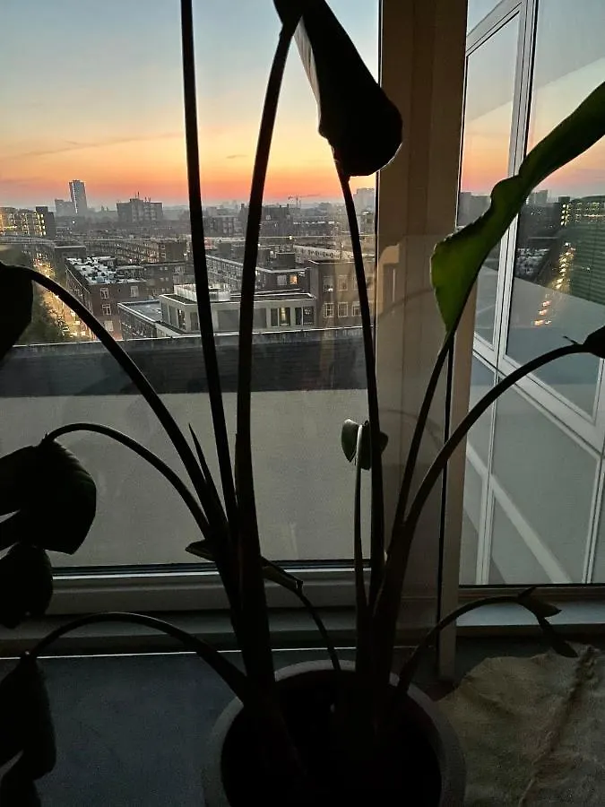 Apartment City Vibes